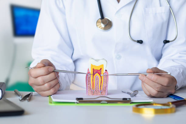 Best 24-Hour Emergency Dentist in Somonauk, IL